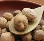India High Quality Nutmeg